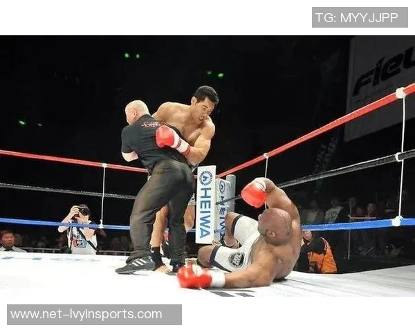 鲍勃萨普与董建军的巅峰对决谁将赢得最终荣耀